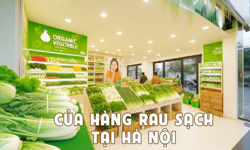 cửa hàng rau sạch tại Hà Nội